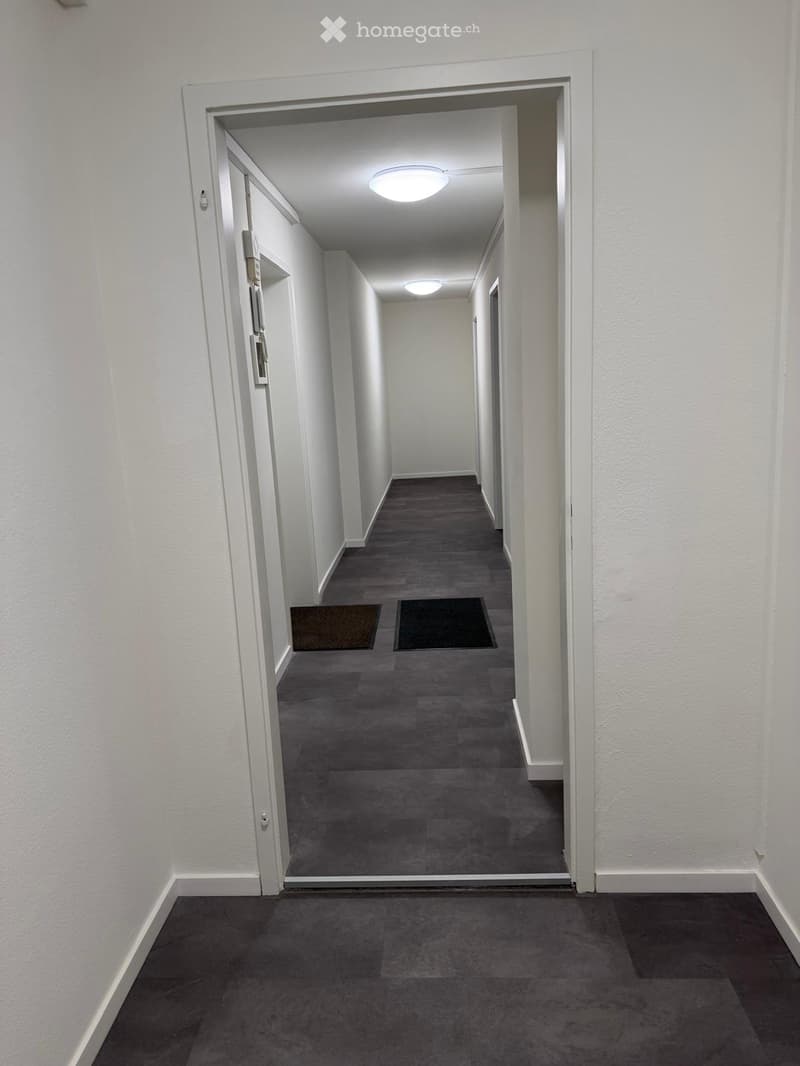 Empty hallway with white walls, gray carpeted floor, and recessed lighting. Two doors visible on the left side, with small rugs placed in front of them.