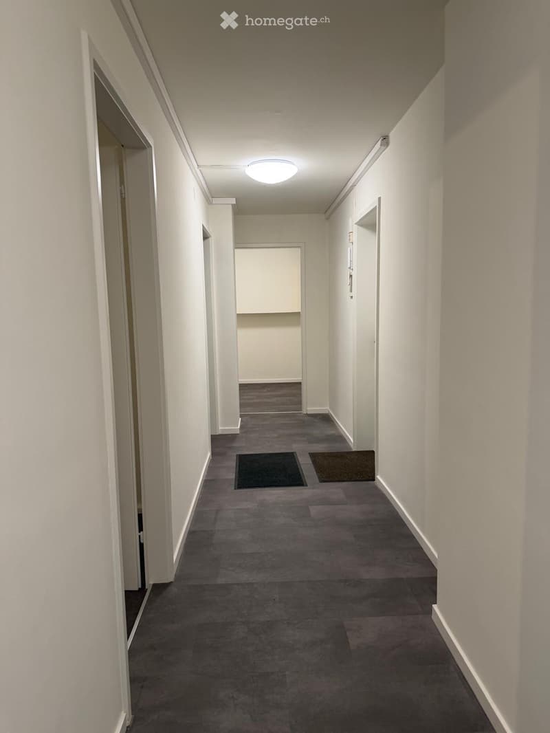 Clean, well-lit hallway with grey carpeted floor, white walls, and several doors leading to rooms.