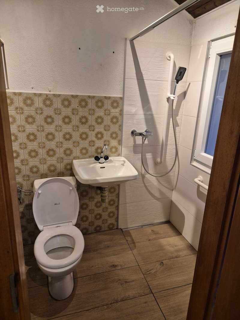 Compact bathroom with wooden flooring, white tiled walls, a toilet, a sink with a faucet, and a handheld shower hose.