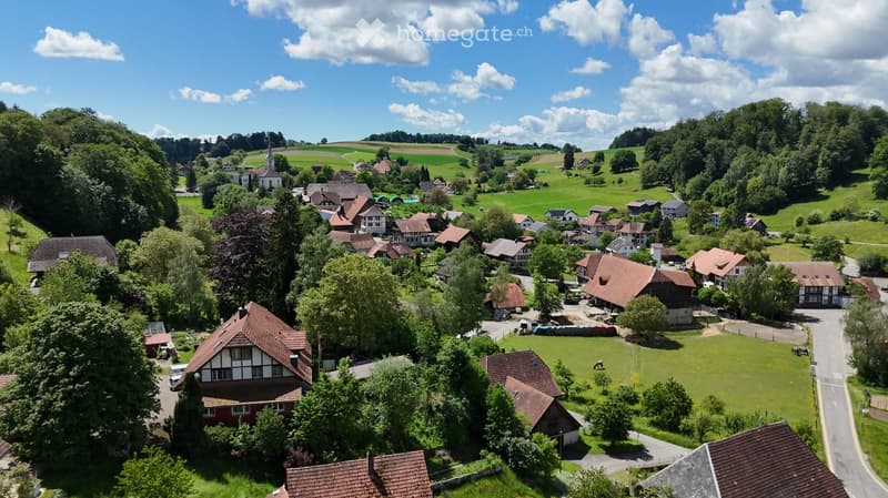 Aerial view of a small village with traditional houses, green fields, and scattered trees under a partly cloudy sky.