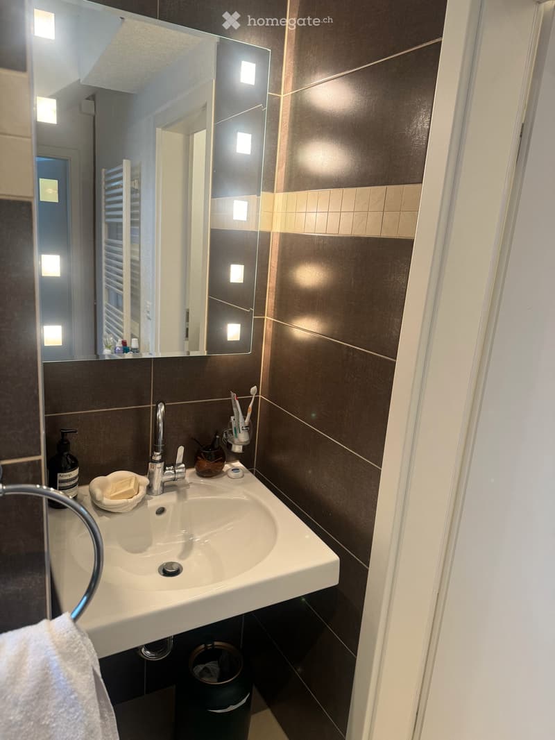 Charmante 2.5-Zimmer-Dachwohnung an der Hallwylstrasse in Zürich 8004 (4)