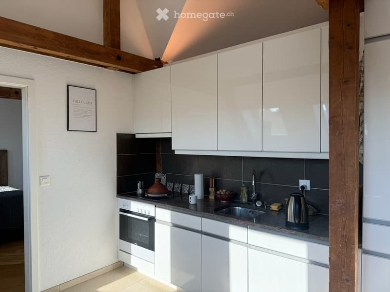 Charmante 2.5-Zimmer-Dachwohnung an der Hallwylstrasse in Zürich 8004 (2)
