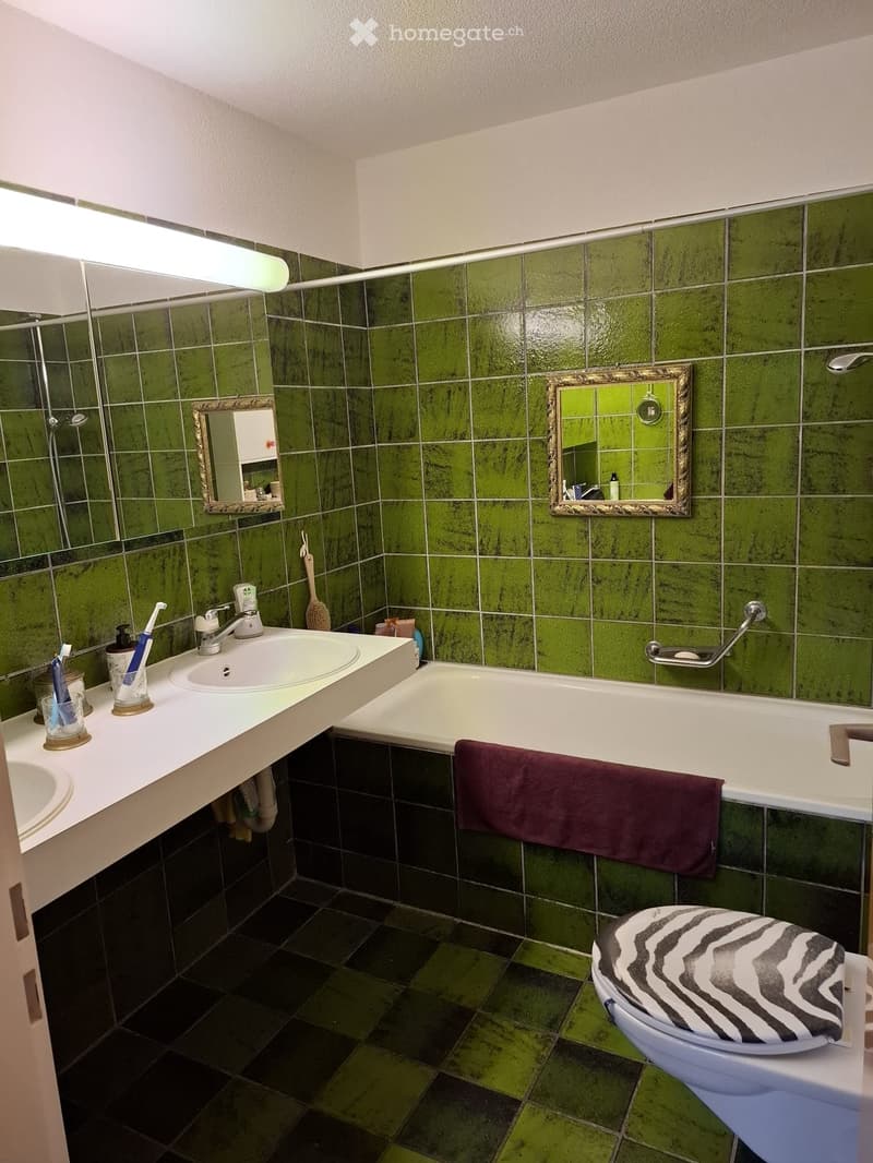 Bathroom with green tiled walls, a white sink, a bathtub, a toilet with a zebra-patterned seat cover, and two mirrors with ornate frames. The countertop holds a toothbrush holder and a soap dispenser.