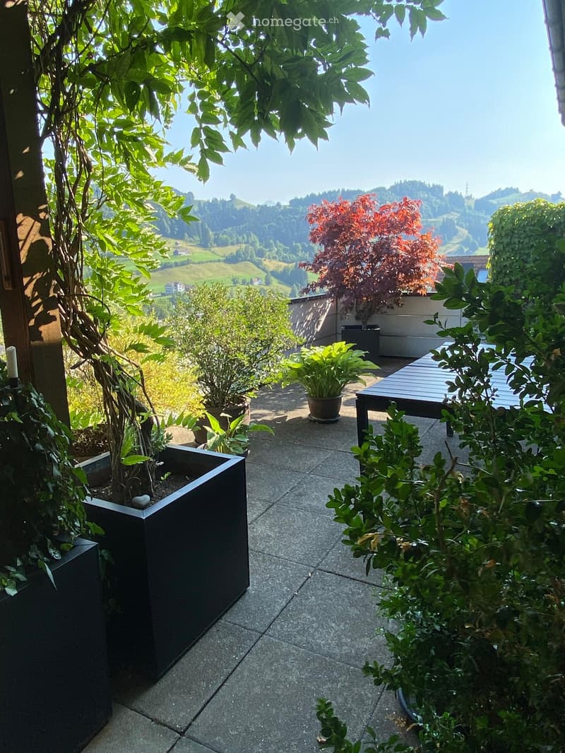 A serene outdoor patio with a stone floor, potted plants, and a scenic view of a valley and hills in the background.