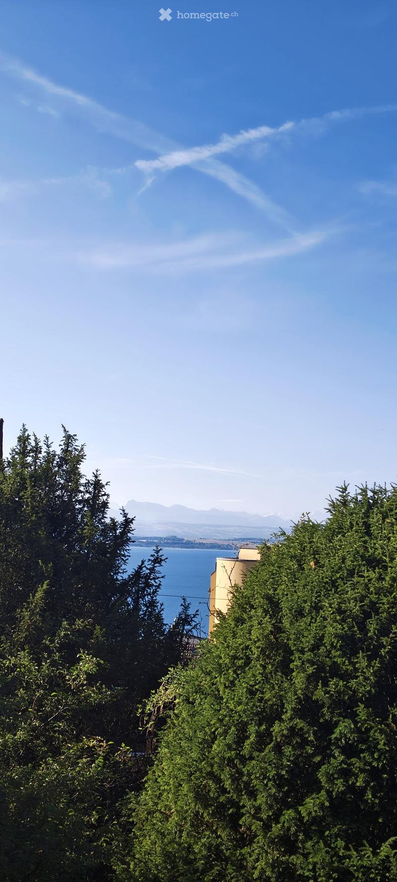 A serene outdoor view with lush green trees in the foreground and a calm body of water in the background, with distant mountains visible under a clear blue sky.