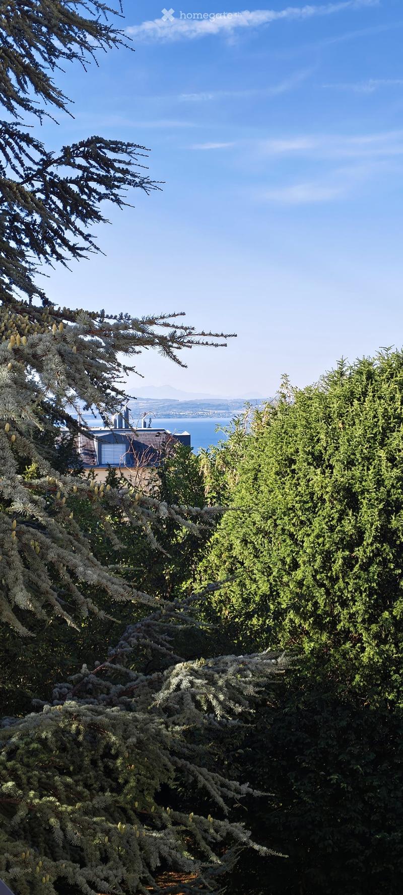 A lush garden with dense evergreen trees and shrubs, offering a scenic view of a body of water and distant hills under a clear blue sky.