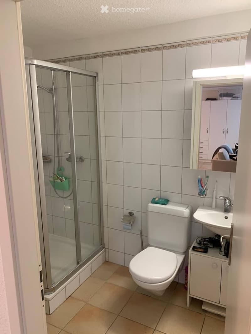 Modern bathroom with white tiles, a glass-enclosed shower, a toilet, a sink with a mirror, and a small cabinet under the sink.