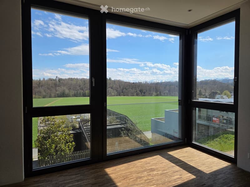 Bright, empty room with large windows offering a scenic view of a green field, trees, and distant mountains. The floor is wooden, and the space is well-lit with natural light.
