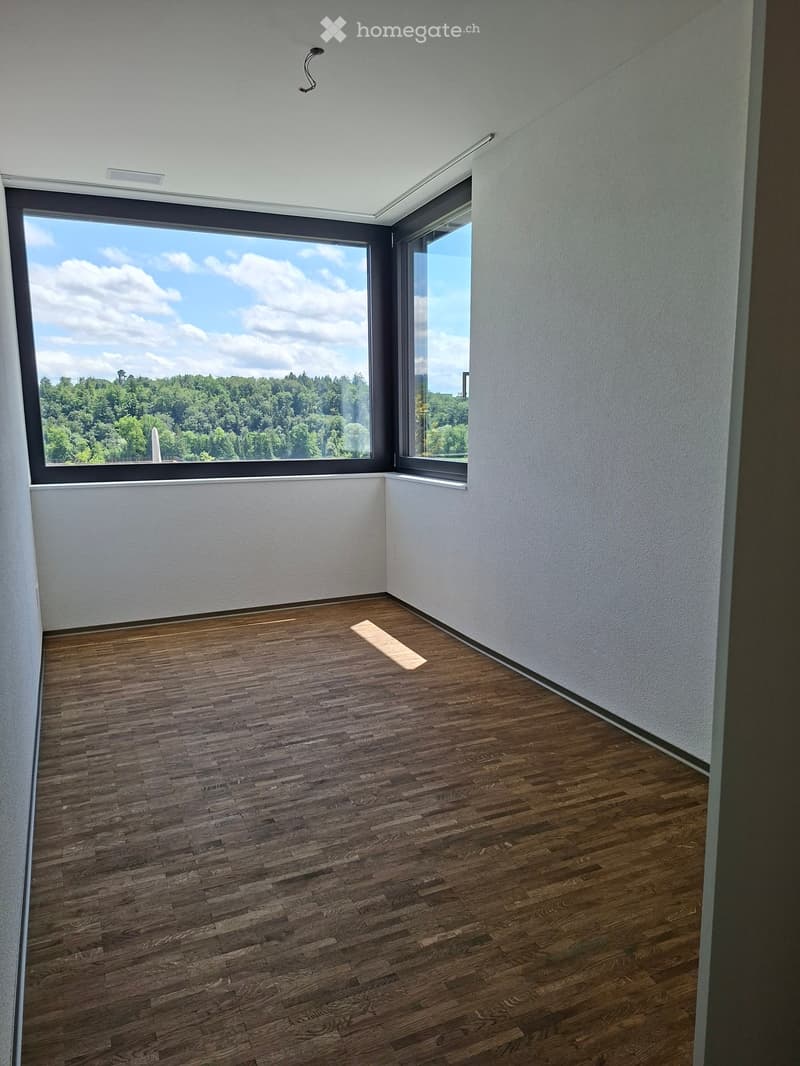Empty room with wooden flooring, white walls, and large windows offering a view of a green landscape.