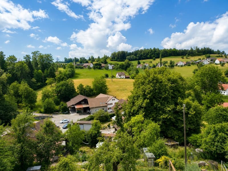 A scenic view of a rural village with multiple houses, surrounded by lush green fields and trees under a partly cloudy sky.