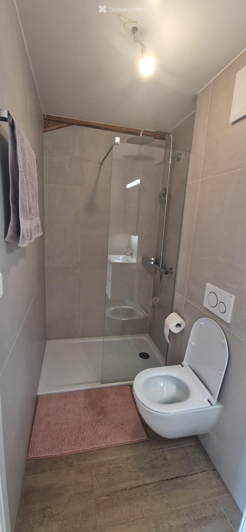 Modern bathroom with a glass-enclosed shower, toilet, towel, and toilet paper holder. The space features wooden flooring and light-colored tiles.