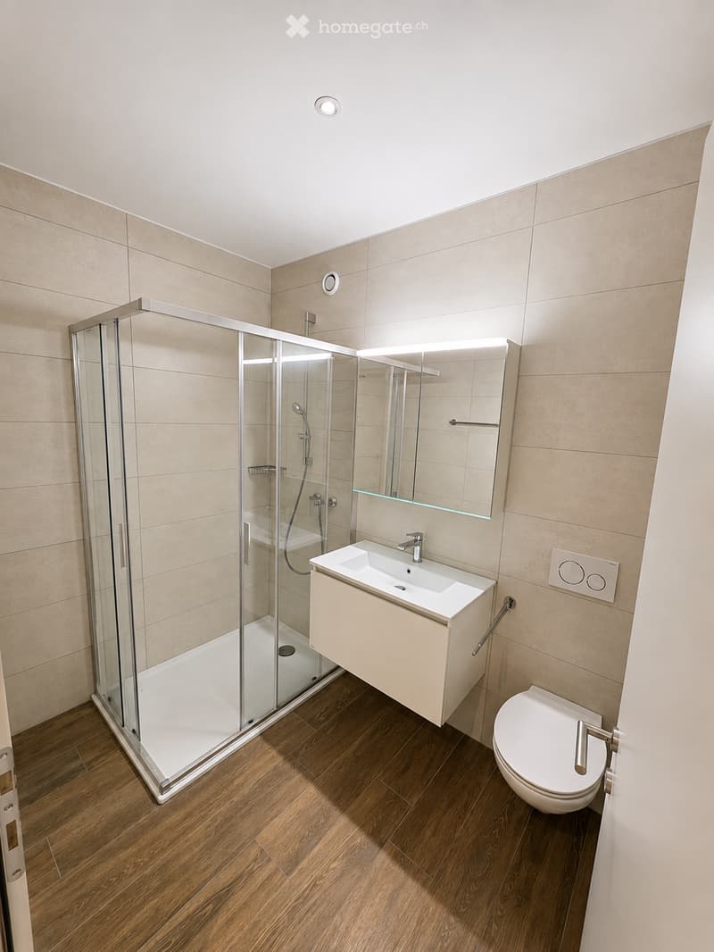 Modern bathroom with wooden flooring, a glass-enclosed shower, a white sink with a modern faucet, a toilet, and a mirrored cabinet with built-in lighting.