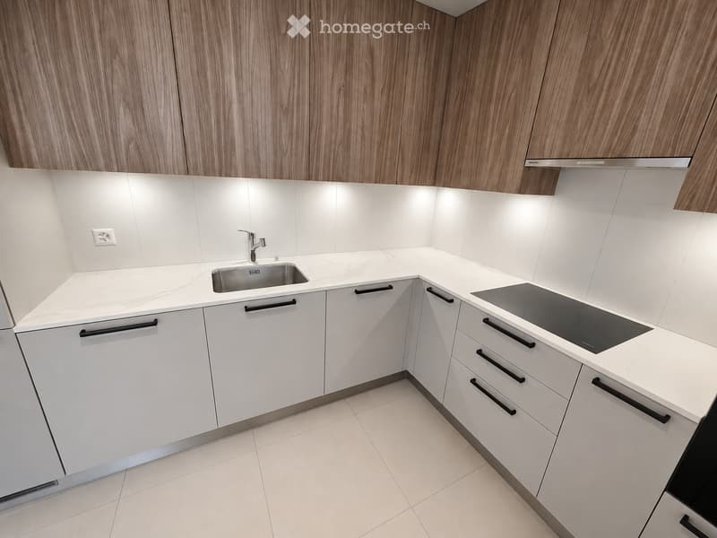 Modern kitchen with white cabinets, marble countertops, stainless steel sink, and induction cooktop.