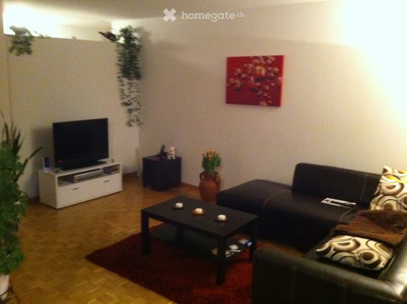 Modern living room with a dark sectional sofa, black coffee table, flat-screen TV on a white stand, side table with decorative items, and a vase with flowers. The room features wooden flooring and a red area rug.