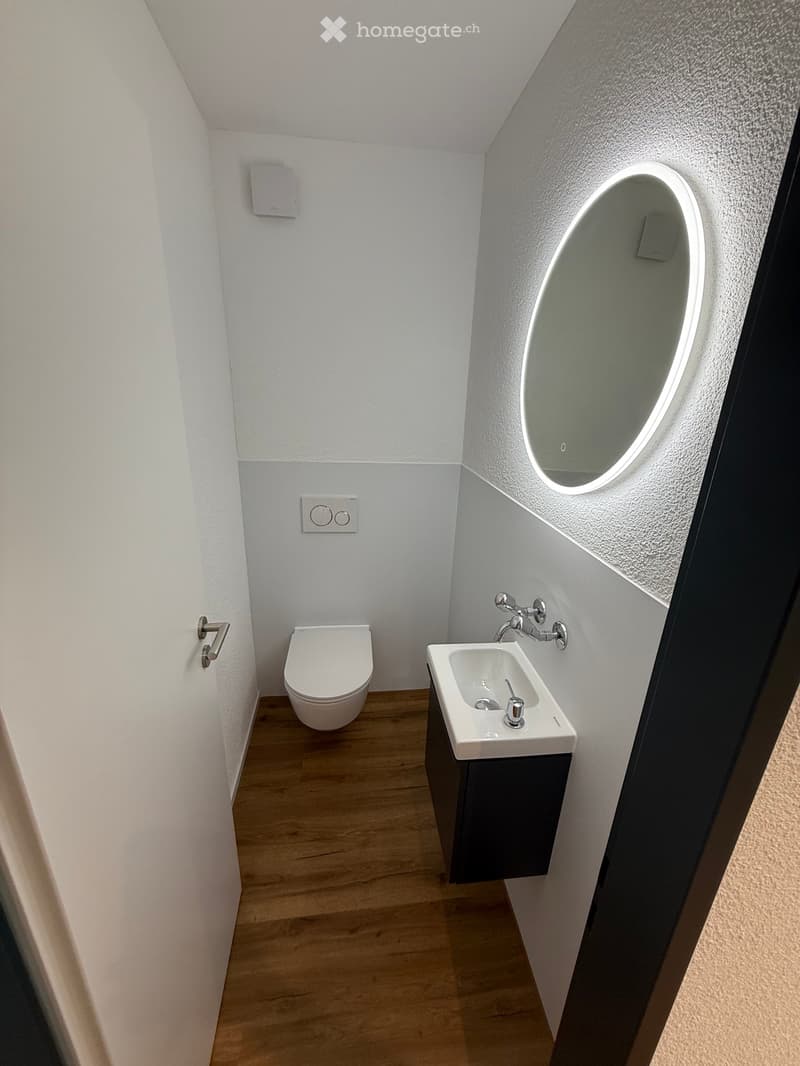 Modern bathroom with white walls, wooden floor, toilet, sink with faucet, and an oval mirror with illuminated frame.