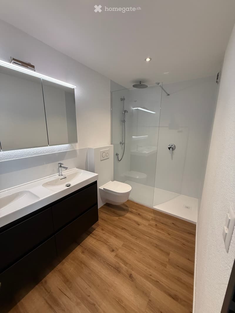 Modern bathroom with wooden flooring, double sink, large mirror, toilet, and glass-enclosed shower with a rainfall showerhead.