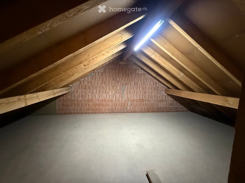 Empty attic space with exposed wooden beams, concrete floor, and brick wall. Natural light enters through a skylight.