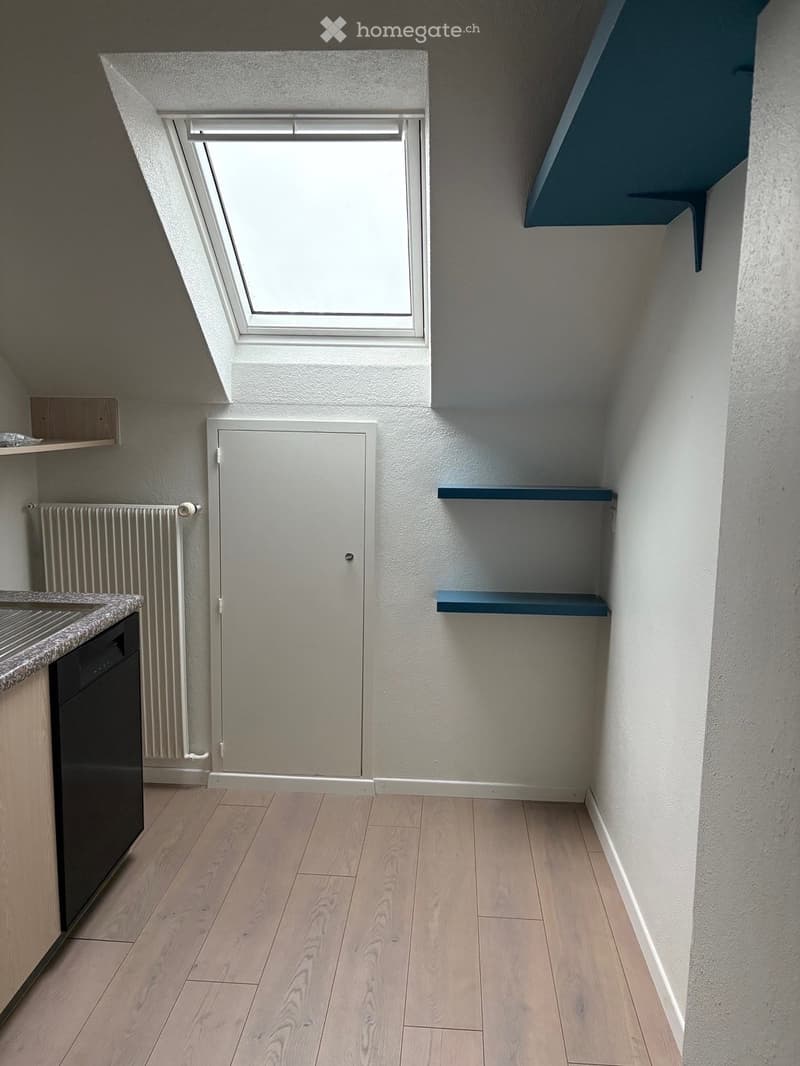 Empty room with wooden flooring, white walls, built-in shelves, a radiator, and a skylight window.