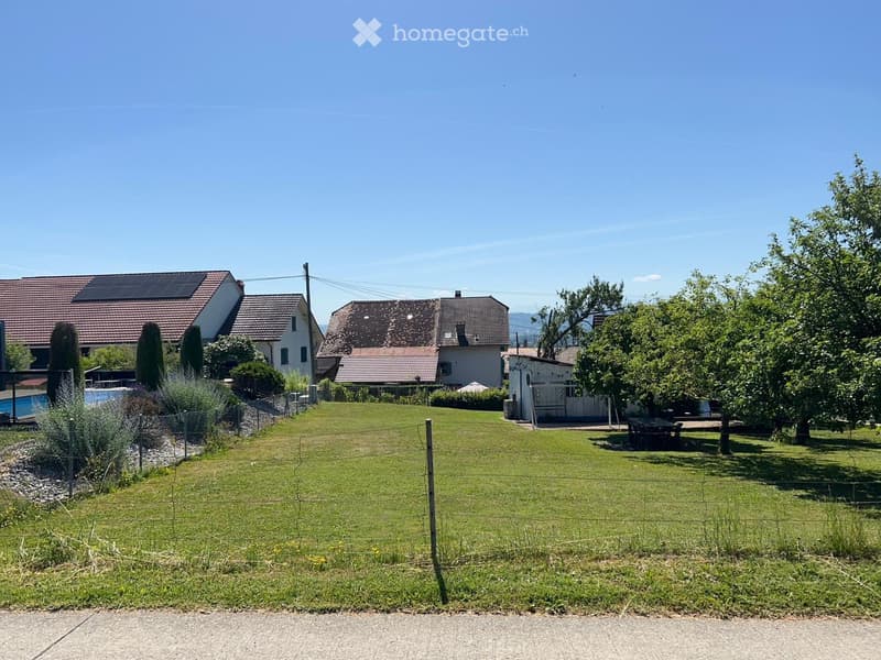 A well-maintained lawn with a fence, several houses in the background, and a swimming pool visible on the left side.