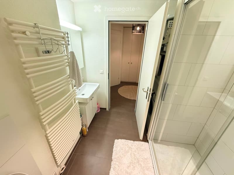 A narrow hallway with a white radiator, a small sink, a glass shower enclosure, and a round rug on the floor.