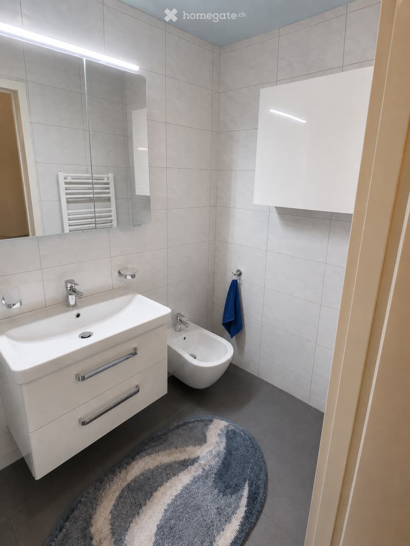 Modern bathroom with white tiles, a sink with a chrome faucet, a mirror, a white cabinet, a bidet, a towel, a radiator, and a round rug.