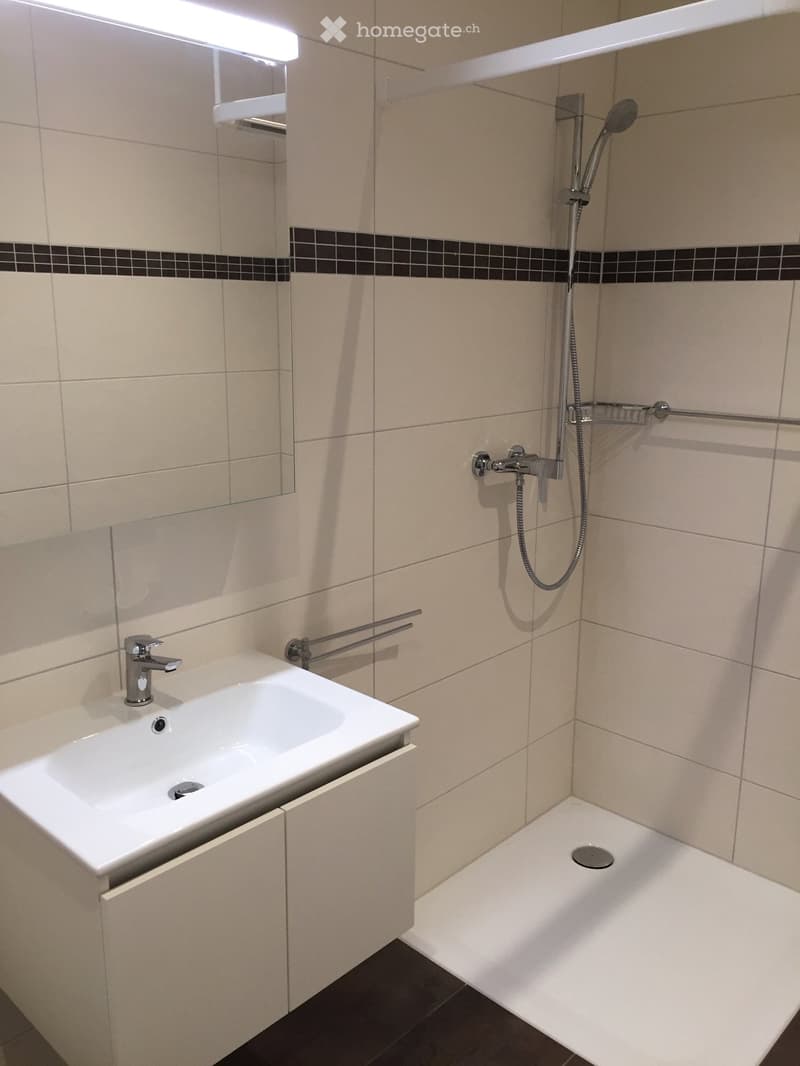 Modern bathroom with a white sink, chrome faucet, showerhead, and built-in mirror. Beige tiles with black accents.