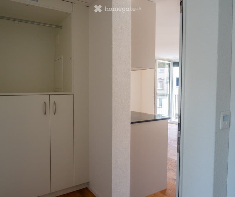 Empty hallway with light-colored walls, wooden flooring, and built-in storage cabinets. The hallway leads to an open area with a glass door to the outside.