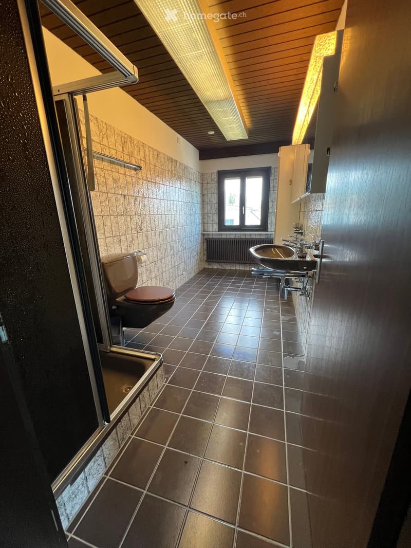 Charmante 4-Zimmer-Dachgeschosswohnung in Wettingen (1)