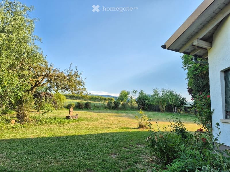 Lush garden with a large tree, well-maintained lawn, and a small stone structure, surrounded by greenery and a house on the right.