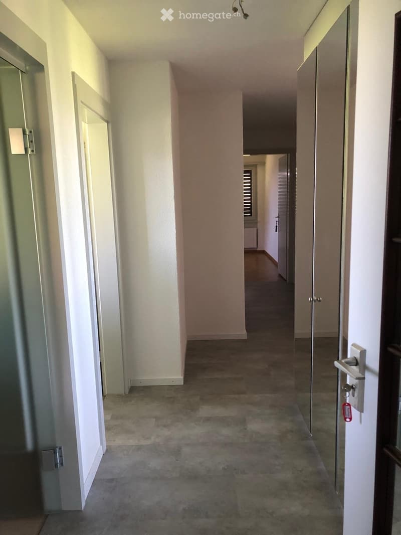 Empty hallway with beige walls, carpeted floor, and several doors leading to other rooms.