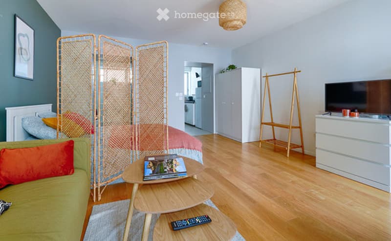 A modern, open-plan living and sleeping area with a green sofa, wooden coffee table, TV, wardrobe, and a bed separated by a room divider.