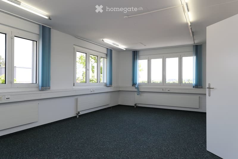 Empty room with white walls, large windows with blue curtains, and built-in radiators. The floor is covered with dark carpeting, and the ceiling has recessed lighting.