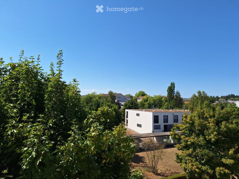 Modern white house with flat roof and large windows, surrounded by lush green trees and shrubs.