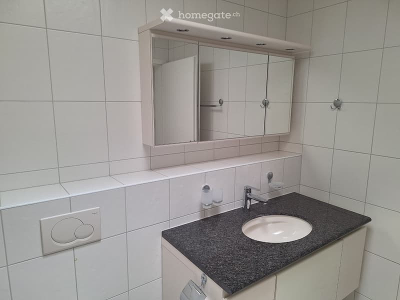 Modern bathroom with a white tiled wall, a black granite countertop, a white sink, a large mirrored cabinet, and a sleek faucet.