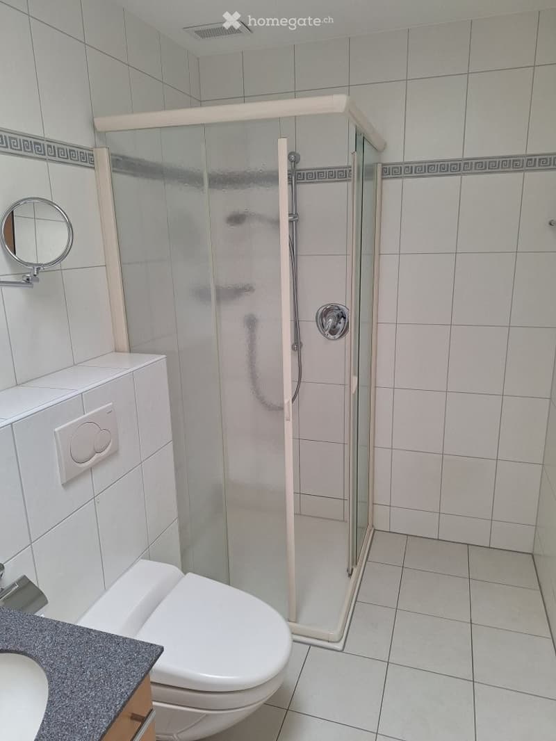 Modern bathroom with white tiles, a glass-enclosed shower, a toilet, a sink, and a round mirror on the wall.