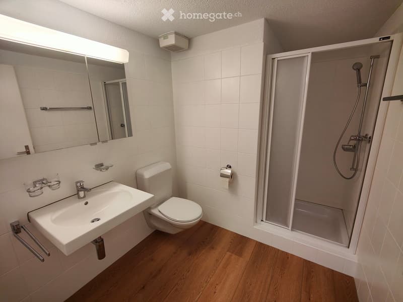 Modern bathroom with white tiles, wooden floor, sink, toilet, mirror, and walk-in shower with glass enclosure.