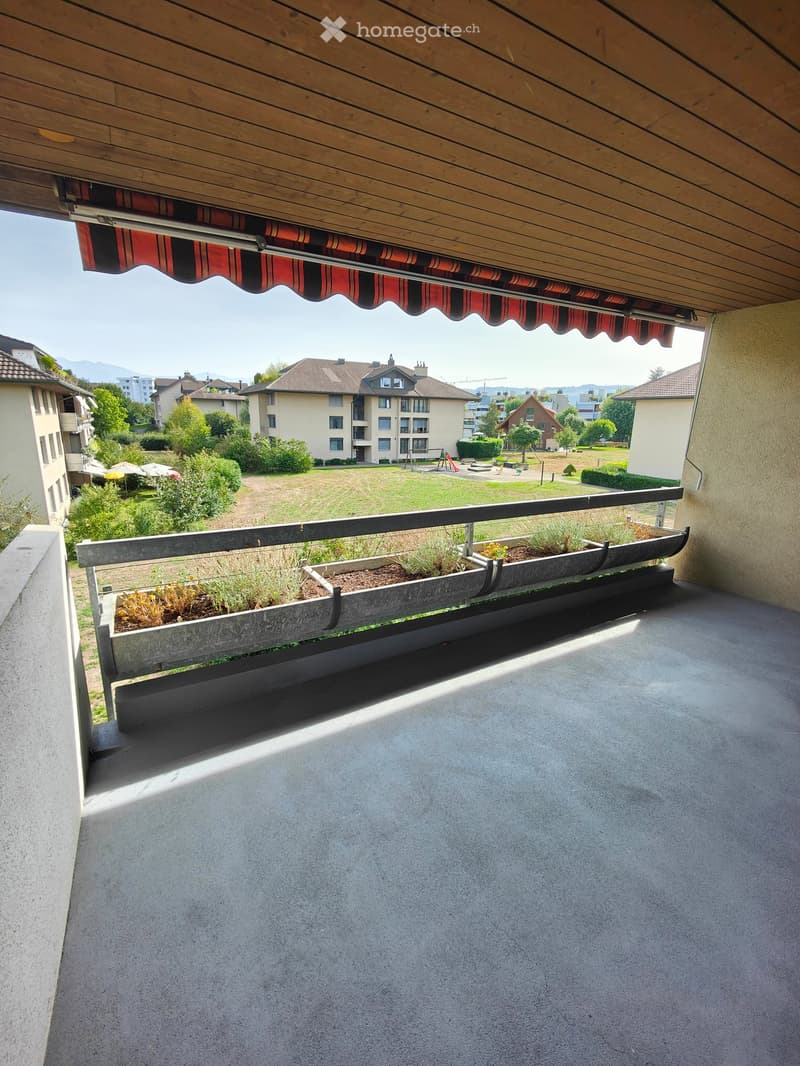 Balcony with wooden ceiling, striped awning, concrete floor, and small planter boxes with plants. Offers a view of a park and residential buildings.