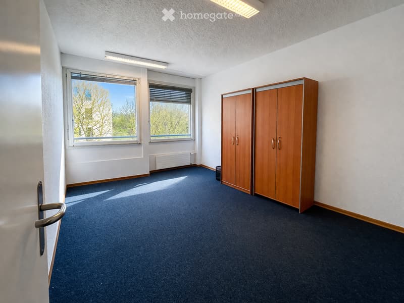 empty room, blue carpet, two windows, wooden wardrobe, white walls
