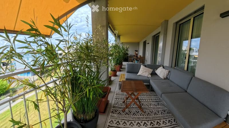 Balcony with grey sectional sofa, wooden coffee table, patterned rug, and potted plants.
