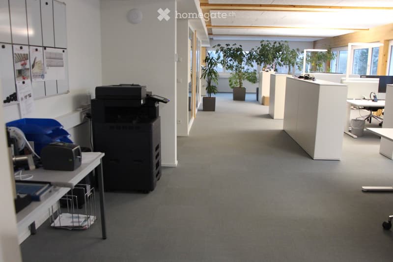 Open-plan office space with grey carpeting, white walls, and large windows. Visible items include a printer, a table with office supplies, chairs, a screen, and potted plants.