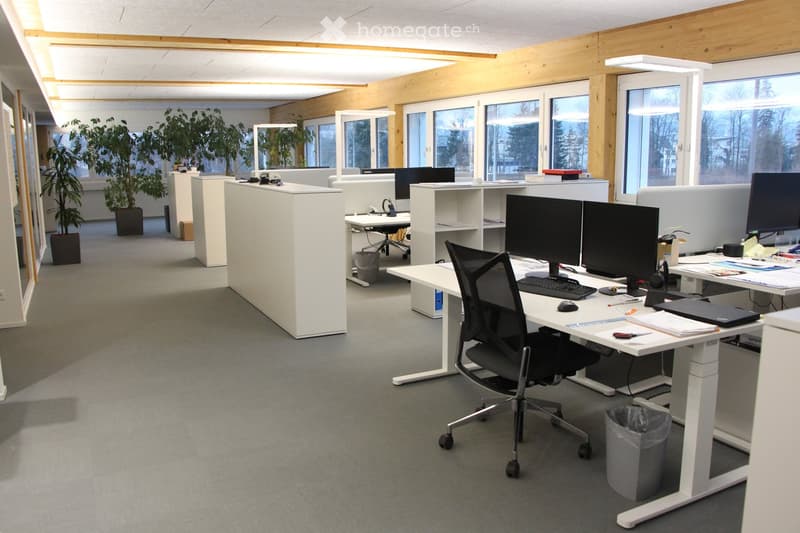 Modern office space with desks, chairs, computer monitors, keyboards, and plants. The room features large windows and a clean, organized layout.