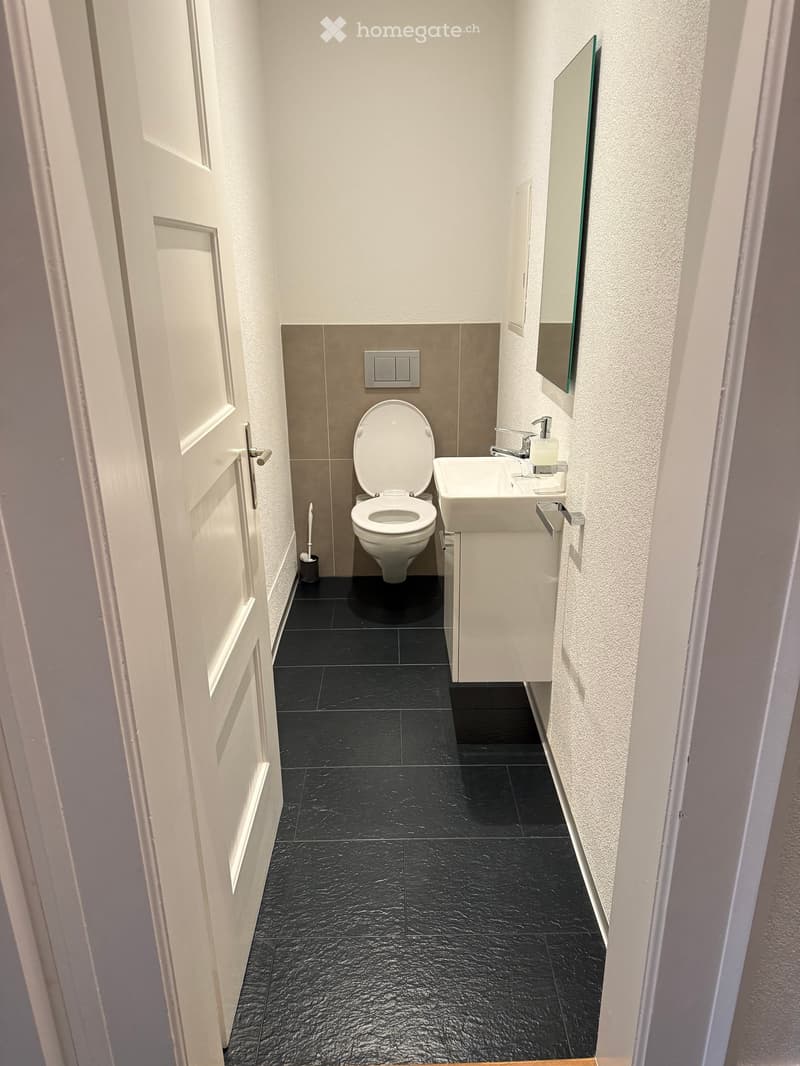 compact bathroom with toilet, sink, and mirror