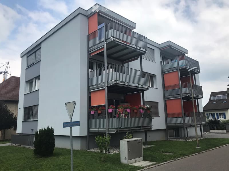 4.5 Zimmer Wohnung an zentraler Lage in Möhlin (1)