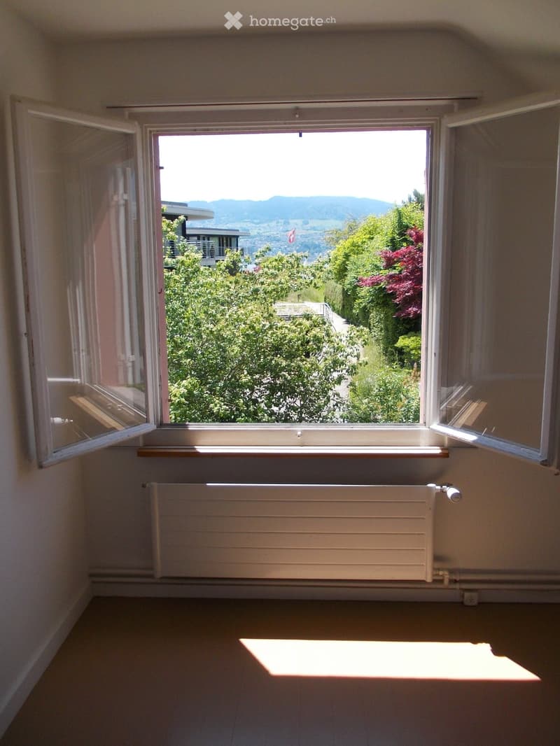 Empty room with wooden flooring, large window offering a scenic view of greenery and mountains, radiator below the window, and a small wooden shelf on the windowsill.