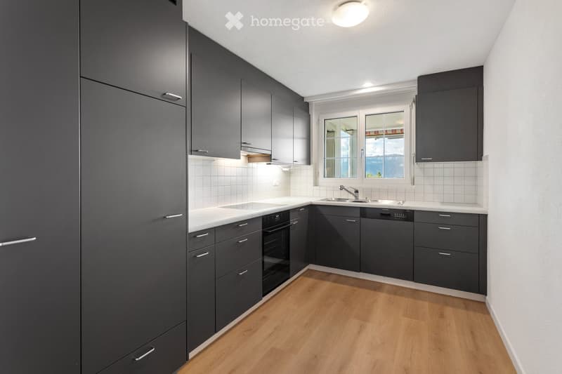 Modern kitchen with dark grey cabinets, white countertops, wooden flooring, and stainless steel appliances including a sink, oven, and dishwasher.