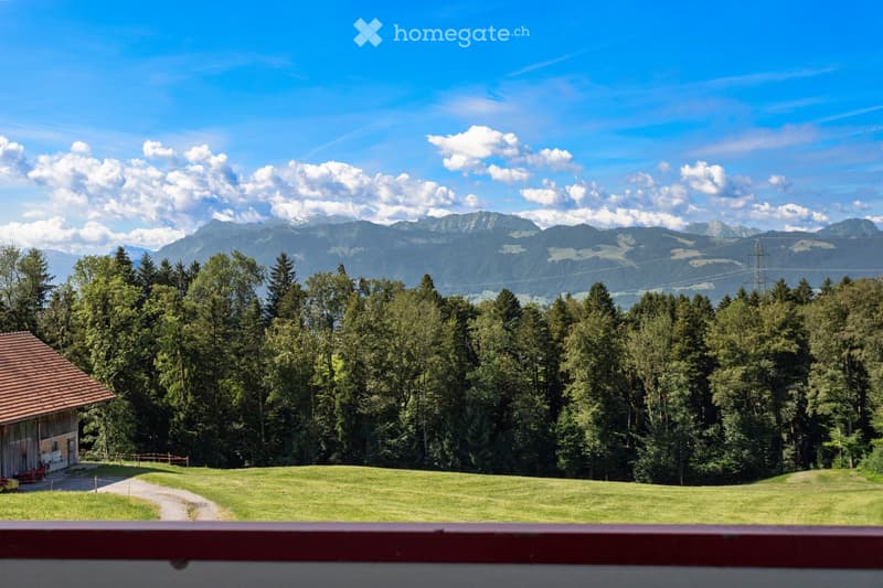 A scenic outdoor view featuring a grassy field, dense forest, and distant mountain range under a clear blue sky.