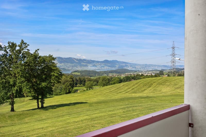 View from a balcony showing a green field, trees, and distant mountains under a clear blue sky.