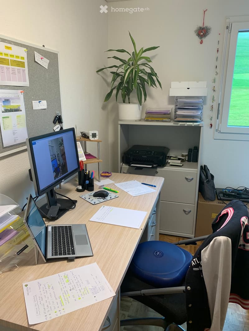 Wood desk, monitors, chair, cabinet, shelves, plant, papers, books, laptop, printer, clock, pen, notepad, marker, mouse, notebook, pens, glasses, scissors, tape