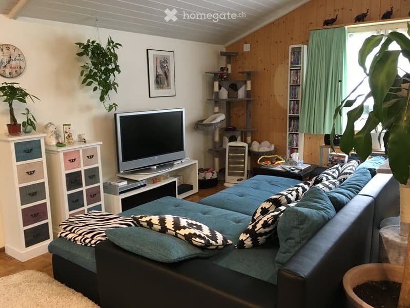 A modern interior with a flat screen TV on a white shelf, a comfortable black sofa, a large potted plant, a wooden floor and wooden walls
