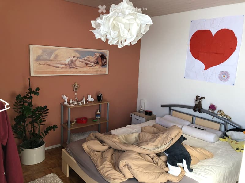Bed, bed covers, pillow, flower ceiling lamp, picture frame, potted plant, wooden table, nightstand, wall poster